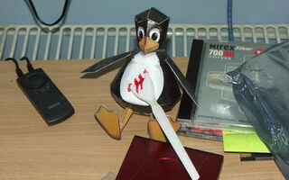 Когда linux ведёт себя плохо